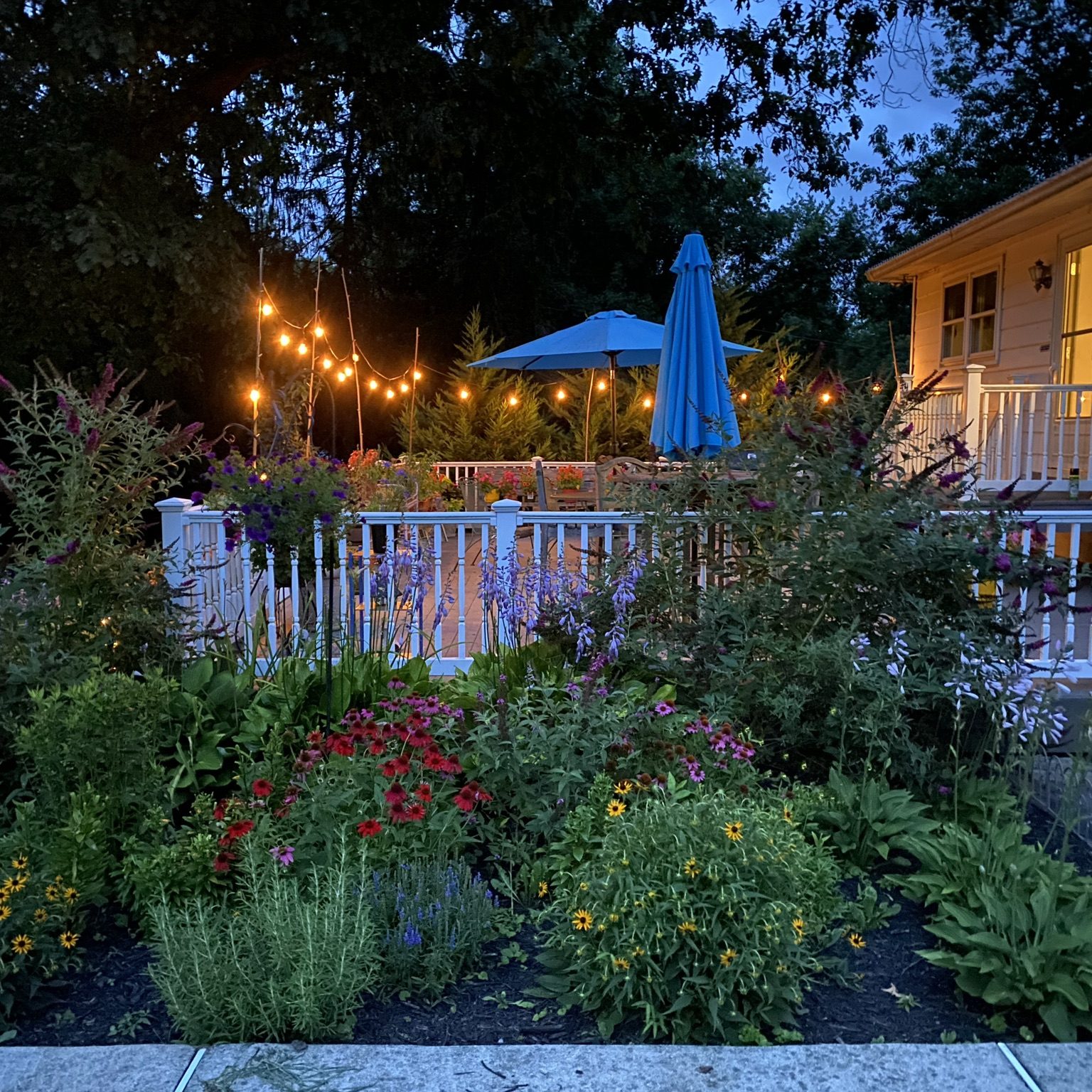 Garden 23 W
